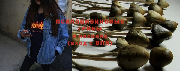 метадон Ладушкин