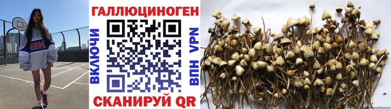 Галлюциногенные грибы ЛСД Шарья